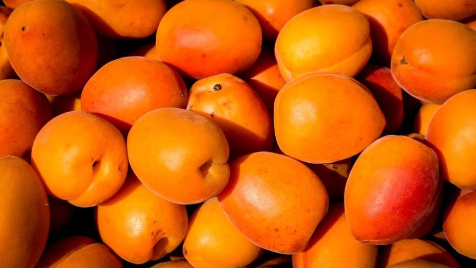 albicocche