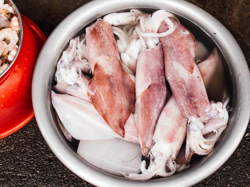calamari