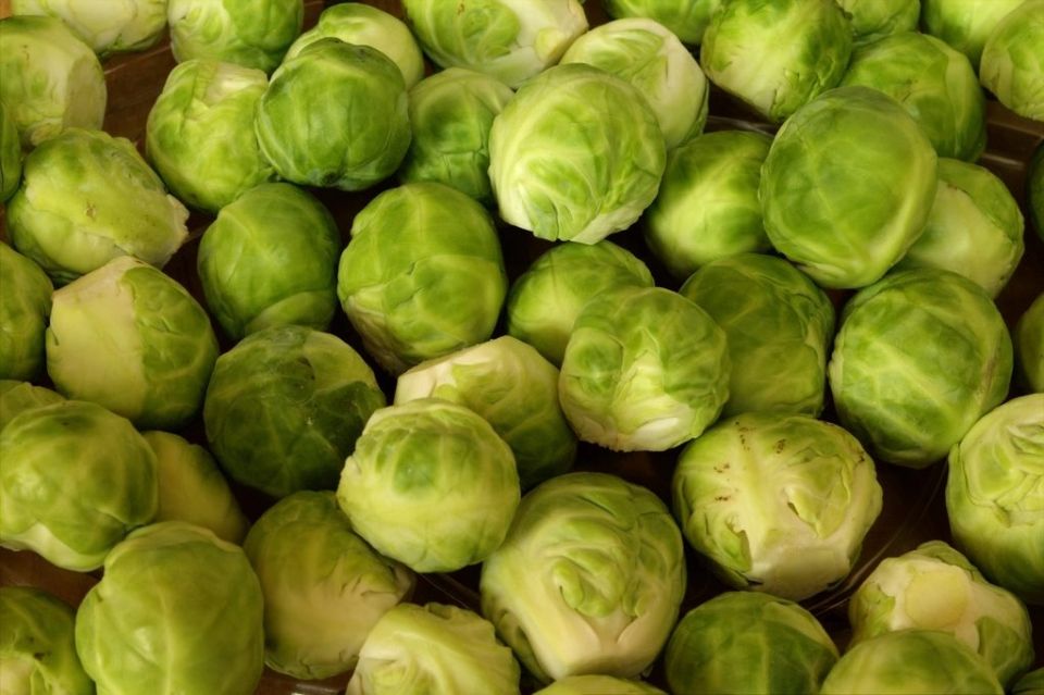 cavolini di Bruxelles