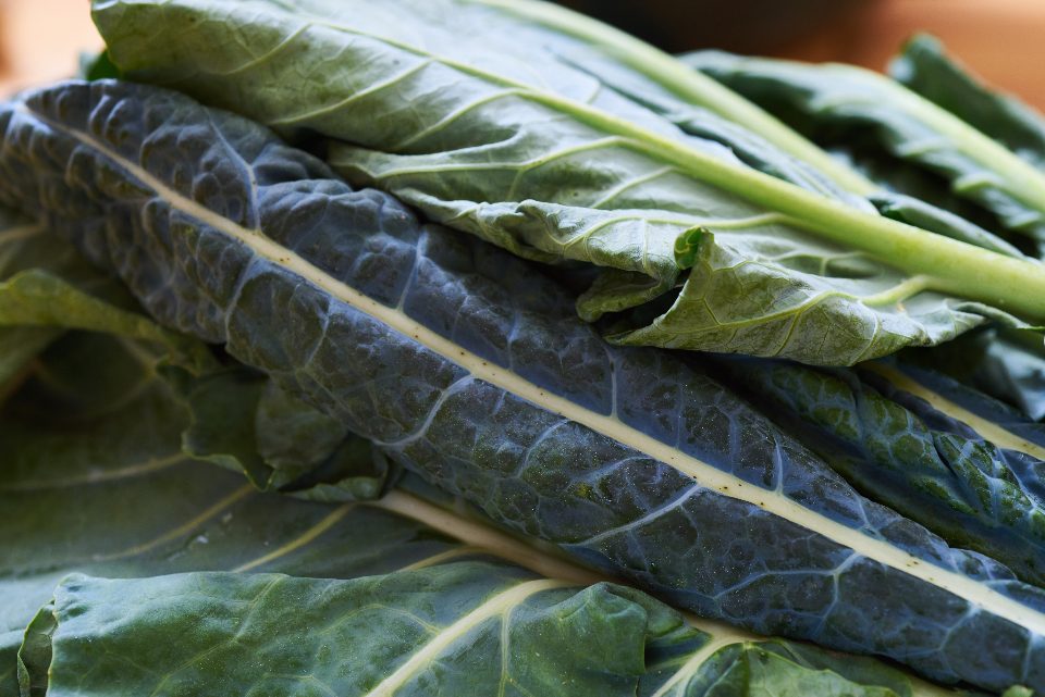 cavolo nero
