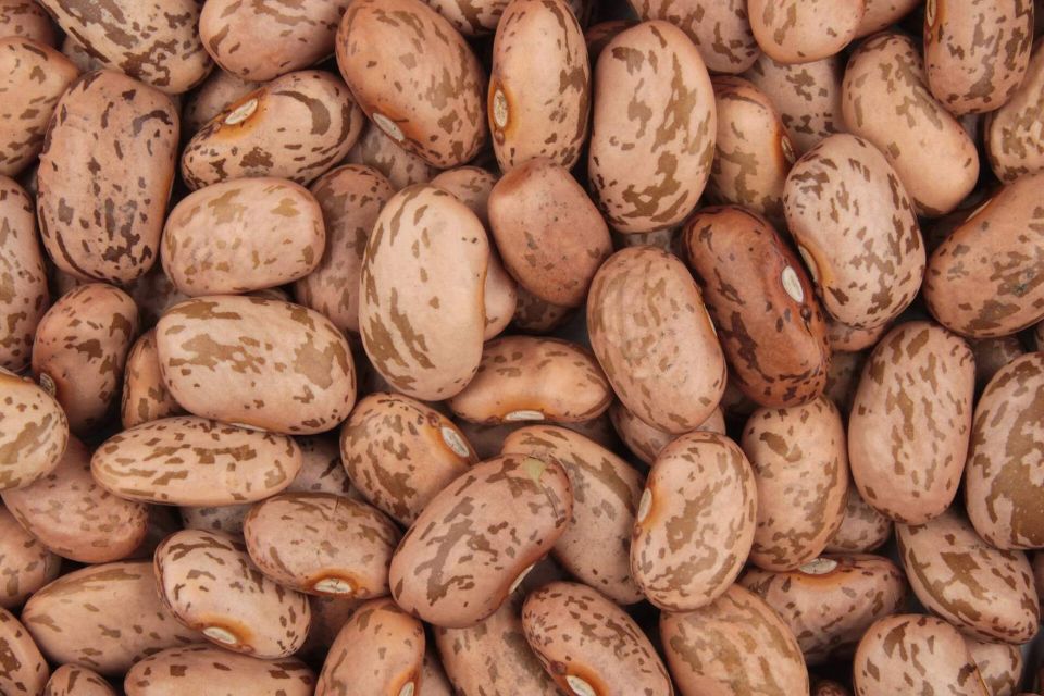 fagioli borlotti cotti