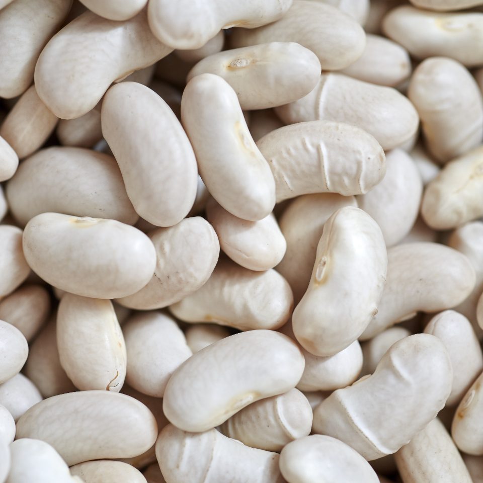fagioli cannellini cotti