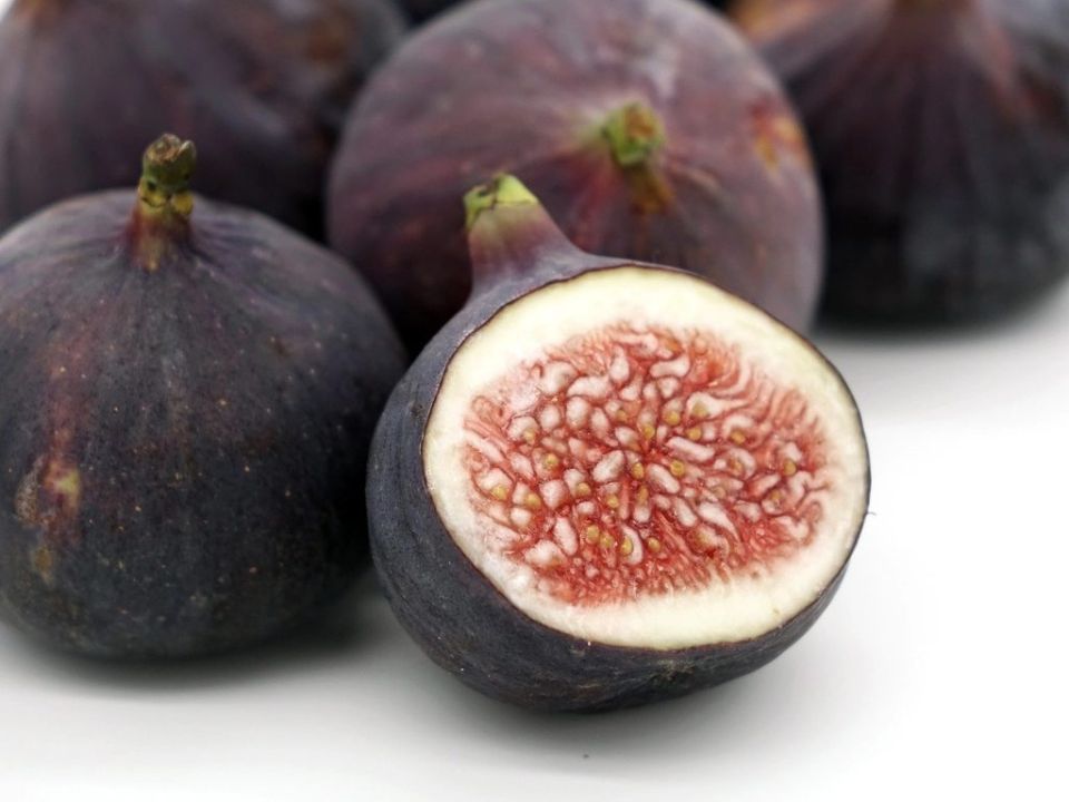 fichi