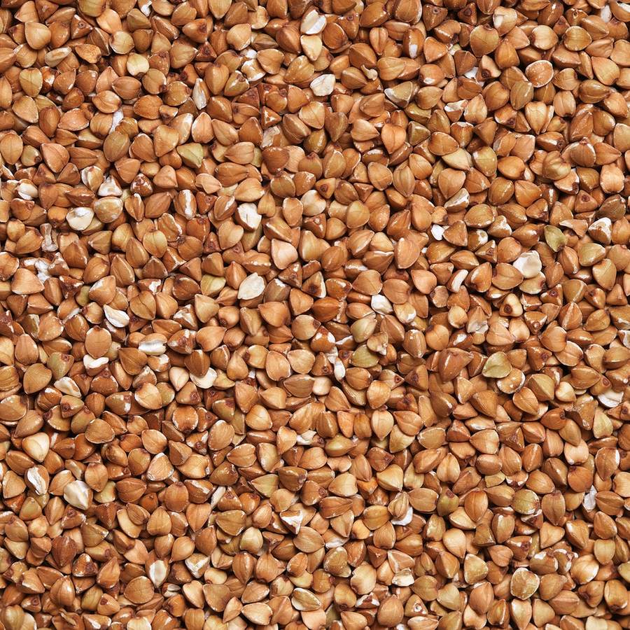 grano saraceno