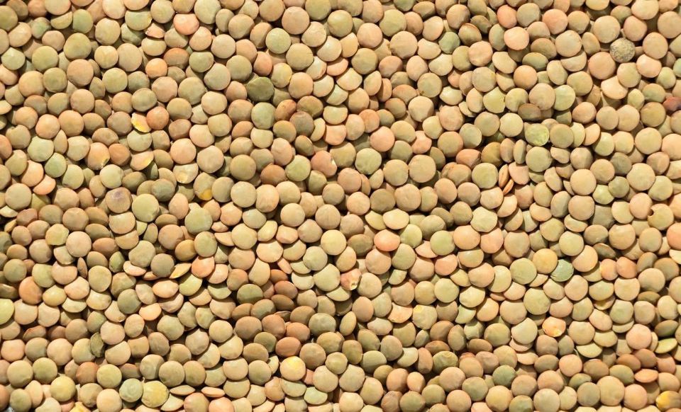 lenticchie cotte