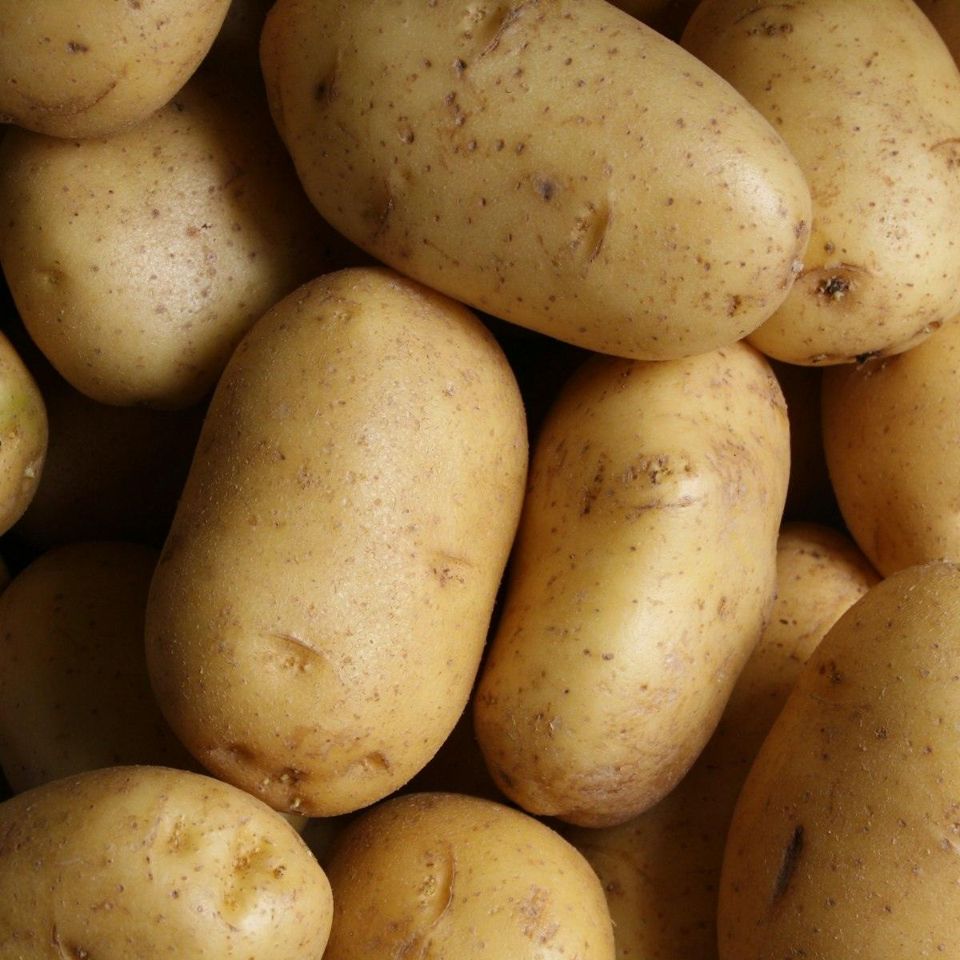 patate