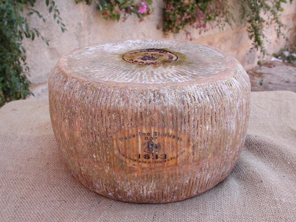 pecorino
