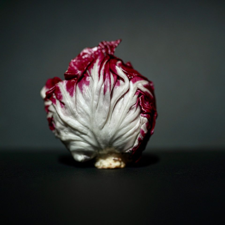 radicchio