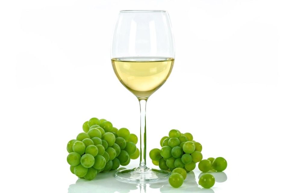 vino bianco
