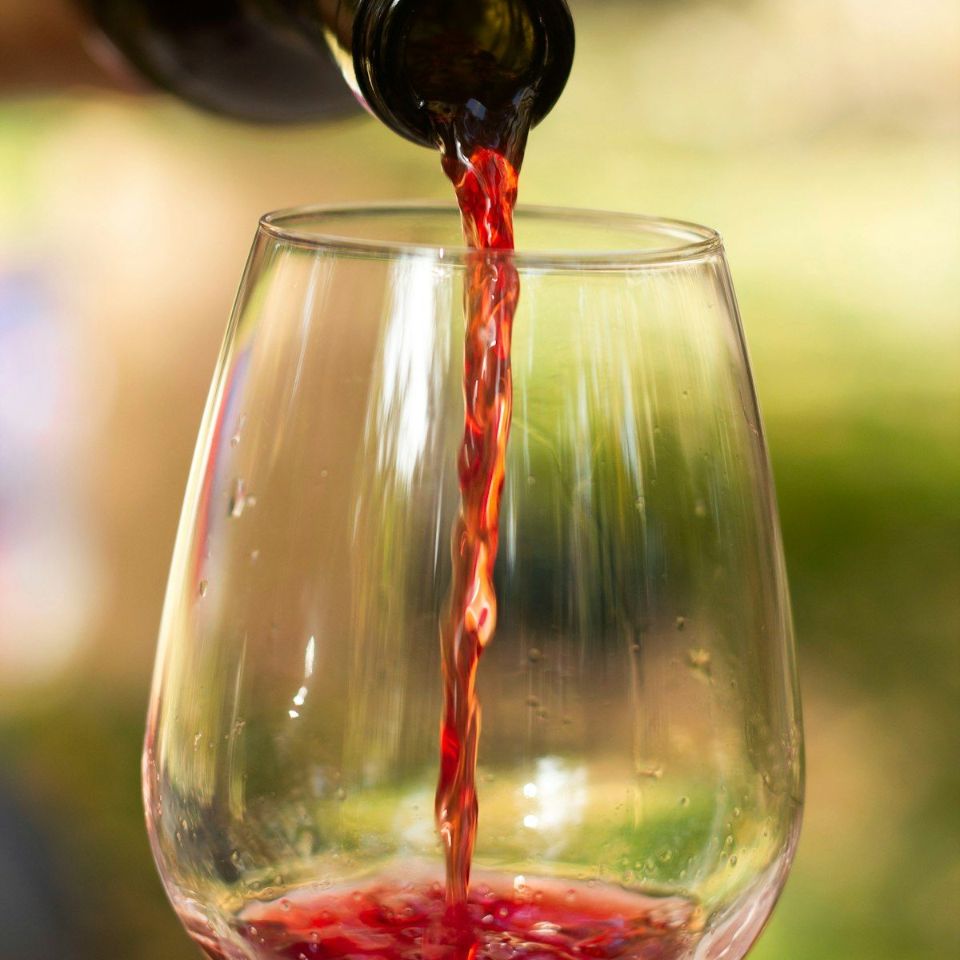 vino rosso