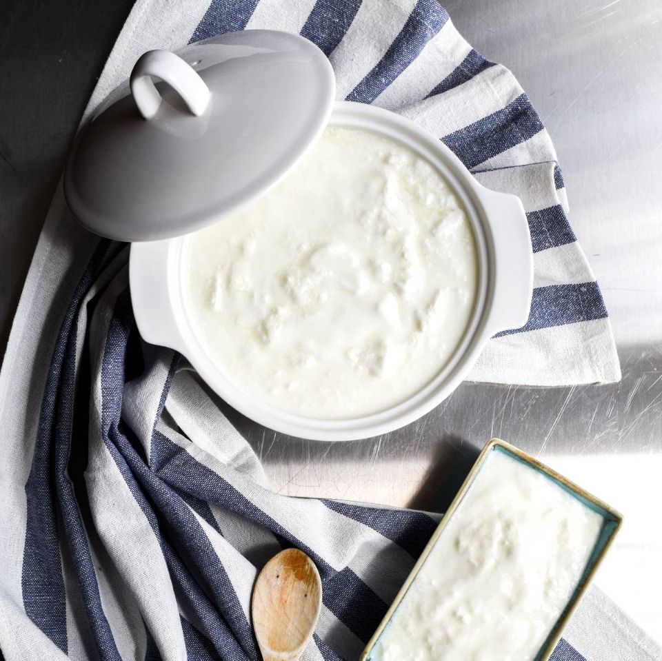 yogurt intero