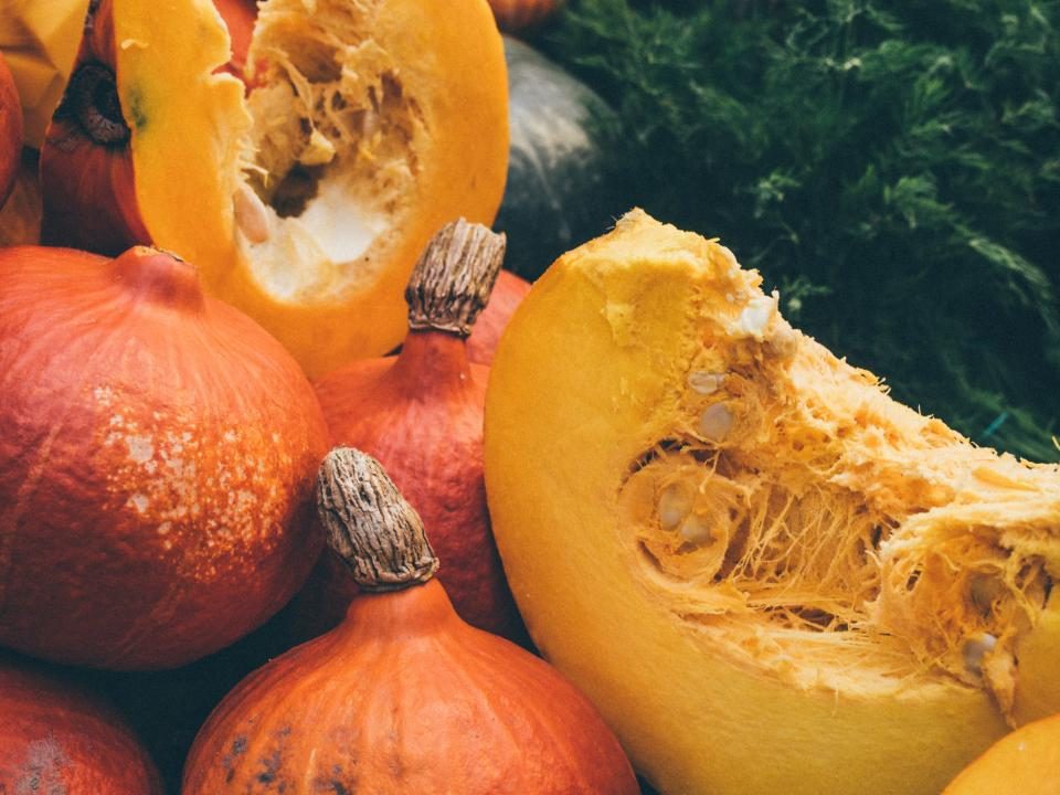 zucca