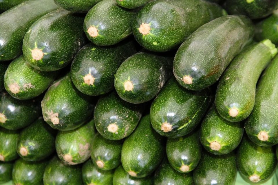 zucchine